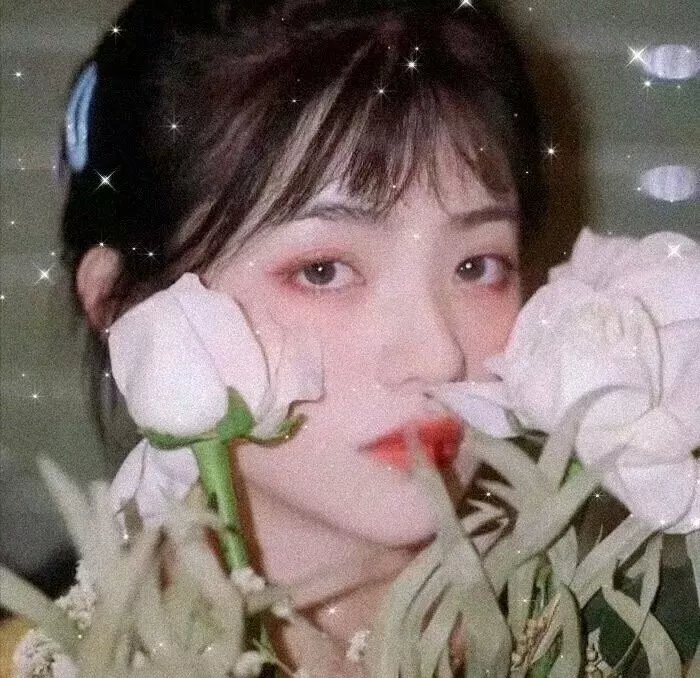 杀手欧阳盆栽